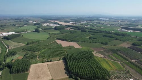 Aerial View of Verdant Farmland and Rural Landscape
