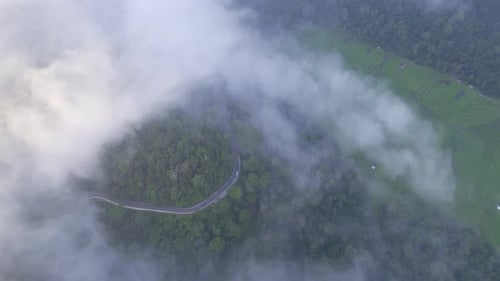 Vue aérienne d'une route sinueuse à travers une forêt recouverte de brume