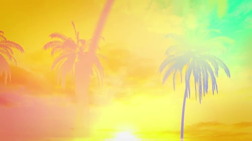 Thème estival de Palm Street