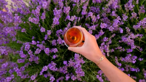 Mujer con vino en un campo de lavanda: enfoque selectivo