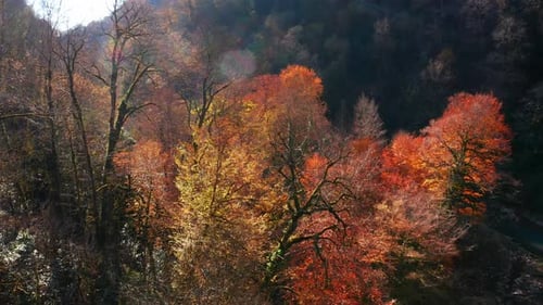 Khosta river at autumn. Flight over the river of Khosta in Caucasus Mountains during sunny day