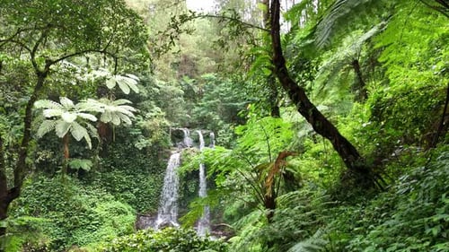 A tranquil jungle waterfall cascading through vibrant green plants,