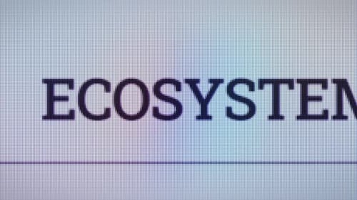 Ecosystem Typing In Computer Site Search Bar V05