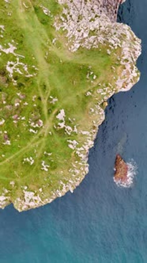 Blueness of the seascape contrasting with rocky shore covered with the green grass.