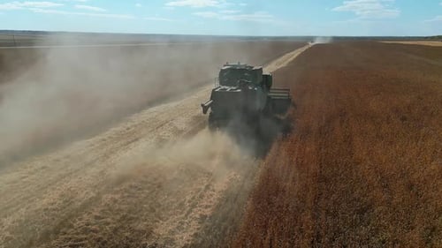 Agriculture Machine Harvesting Grain in Field, Aerial Footage.