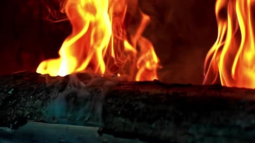 Burning Flames on Wood Logs in Fire
