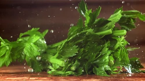 Fresh Green Celery with Falling Water Droplets