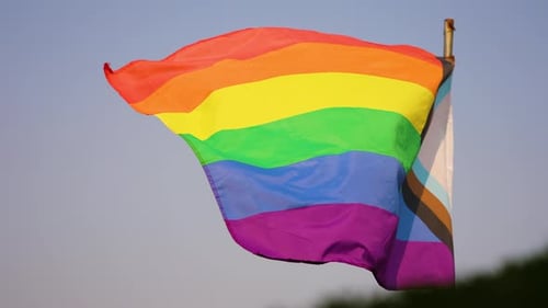 Pride Progress Flag Waving Symbol of Diversity