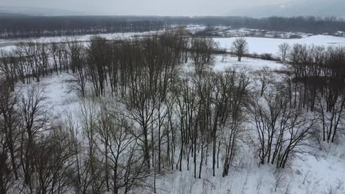 Winter Landscape Top View