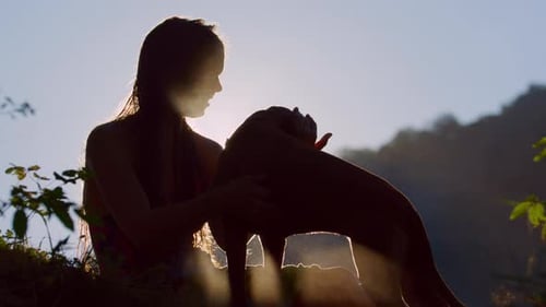 Woman Pets Dog Silhouetted in Warm Sunlight