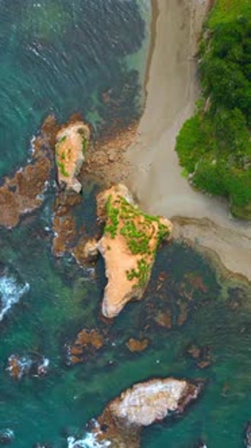 Top View of Coast with Rocks in Water and Forest Clip Amazing Nature of Coast with Beautiful Rocks