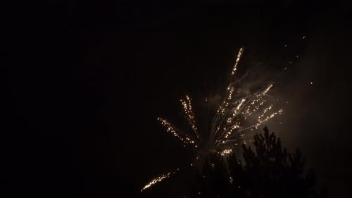 Spectacular Fireworks Exploding in the Night Sky