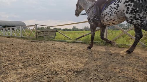 Young Girl Jockey on a Horse Outdoors Slow Motion