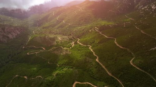 Scenic mountain landscape showcasing winding dirt roads in lush greenery