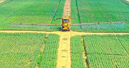 Luftaufnahme eines Traktors, der Pflanzen auf der Plantage besprüht