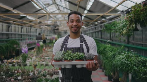 Male Worker in a Greenhouse Portrait of a Man Holding a Pot of Beautiful Green Plants Botanist