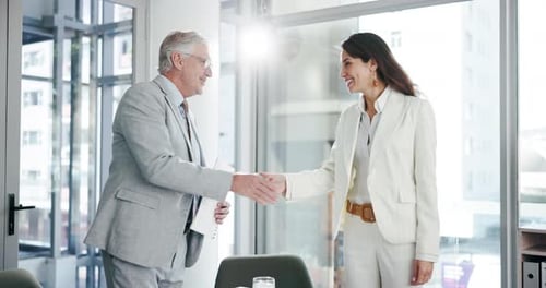 Business people, handshake and office for negotiation, deal or legal settlement in law firm