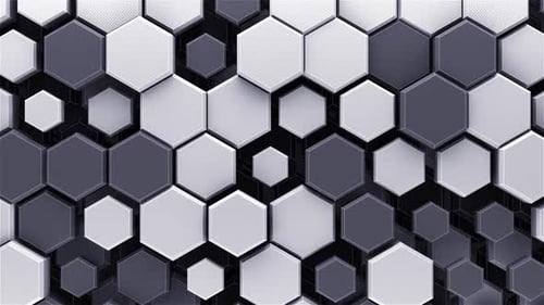 Black And White Hex Wall Loop