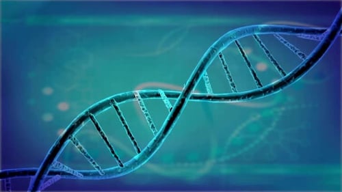 DNA Molecule, double helix strands