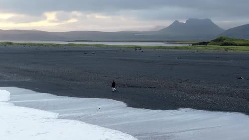 The Iceland Coastal Landscape is Breathtaking with Dramatic Dawn Light Serene Beauty