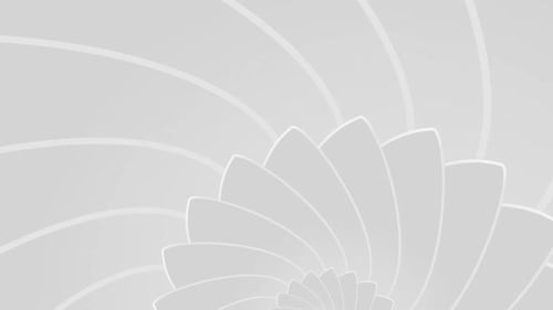 Clean Pattern With White And Light Gray Animated Background