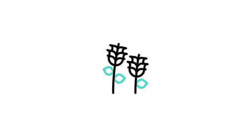 Animated Minimalist Line Art Plants Icon Reveal