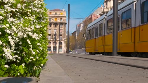 Altstadtfassade mit Straßenbahn