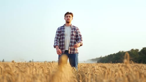 Portrait of Happy Farmer Standing in Ripe Wheat Field with Arms Crossing on Chest Proud Agronomist