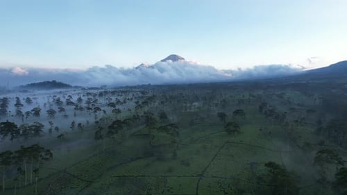 Luftlandschaft des indonesischen Berges in Wonosobo