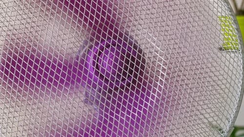 Home appliance electric fan rotating plastic blades behind wire safety mesh circulating air in room