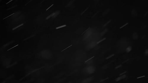 Snow Particles On Black