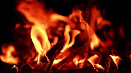 Wood burns out in the campfire. Blurred image of the bonfire in the darkness. Close up.