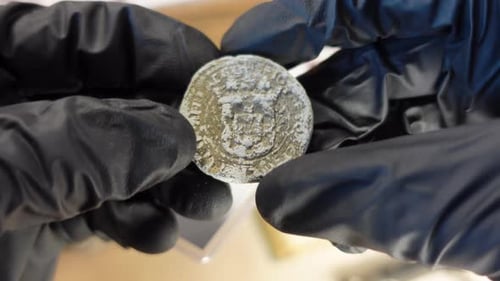 Un numismate examine une Collection de pièces 13