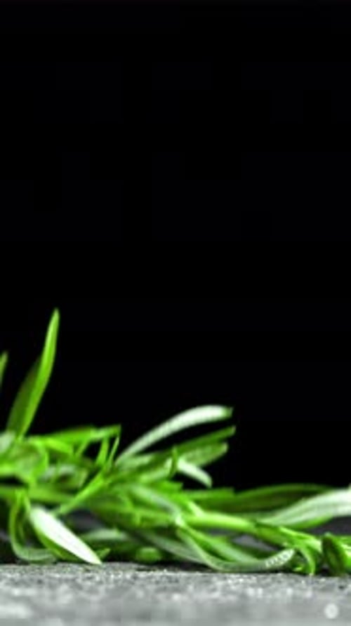 Branch Falls on the Table Filmed is Slow Motion 1000 Fps