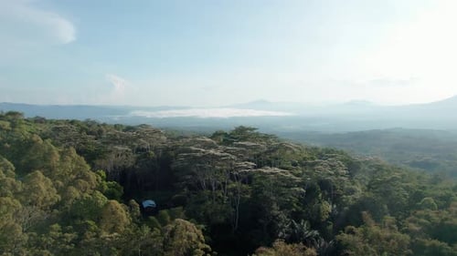 Aerial View Over Tropical Treetops and Misty Valley with Mountains