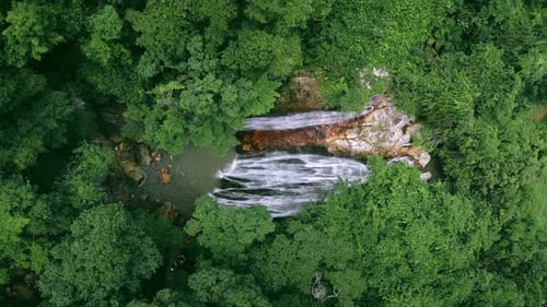 Vertical Video Picturesque Waterfall in Middle of Lush Green Forest Waterfall Forms Lake and is
