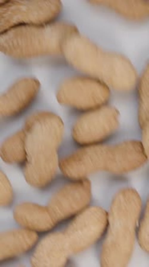 Vertical video. Unpeeled Peanuts Scatter Across a White Table. Top View, Slow Motion.