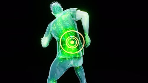 4K anatomy concept of a man with back pain
