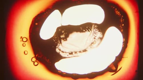 Film Burns And Tears A Large Hole In The Center