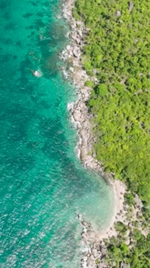 Turquoise Shoreline with Lush Greenery and Rocky Coast Koh Tao Thailand