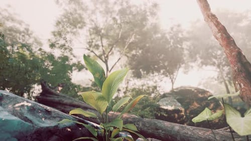 Tree Branch on Rock Pile