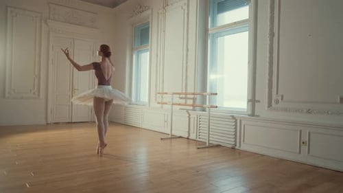 Graceful Ballerina Practicing Ballet in Bright Studio