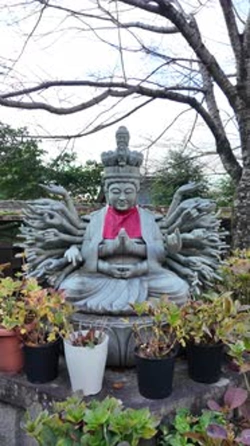 Une statue géante de Bouddha révélée au temple de Tsubosakadera