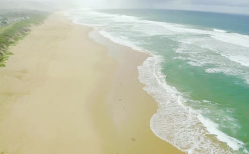 Ein Meer spült sich an einen leeren Strand, der tagsüber von Pflanzen umgeben ist