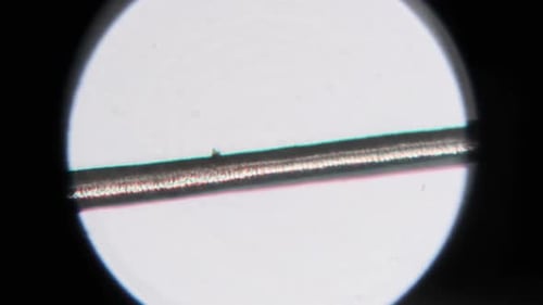 Human Hair Under a Microscope