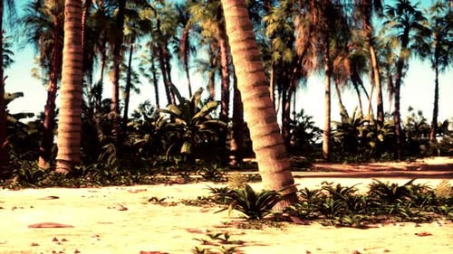 Ein Bündel Palmen an einem Strand