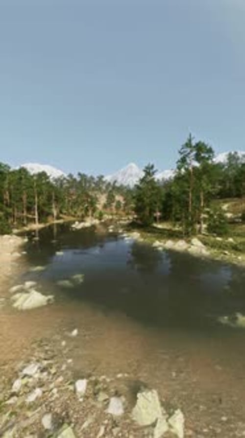 A Scenic River Flowing Through a Lush Forest