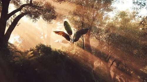 Sunlight Filters Through Trees in a Lush Forest Highlighting Vibrant Foliage