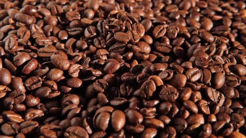Fondo de granos de café