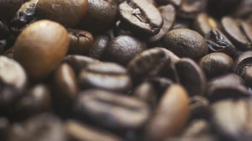 Close up of Roasted Coffee Beans